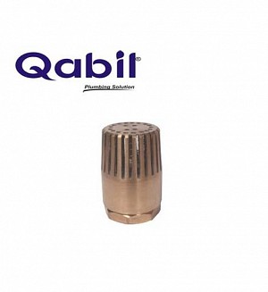 Qabil Foot Valve 4